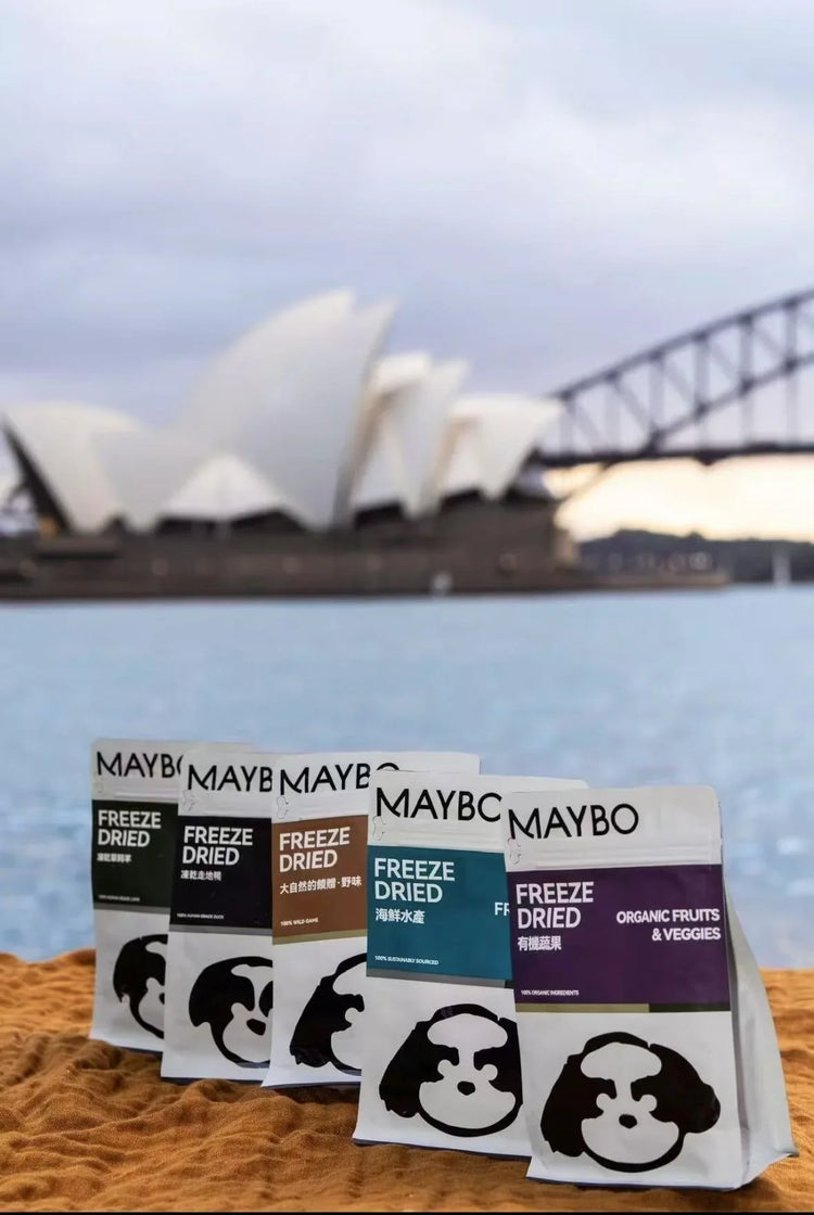 Maybo Pet