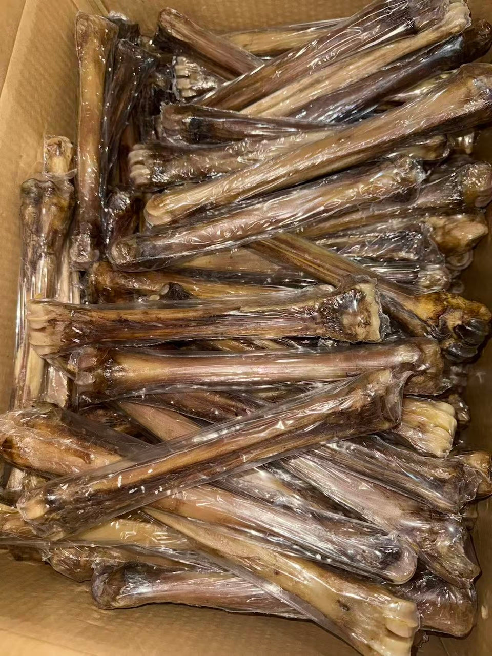 Air-Dried Venison Shank Bone