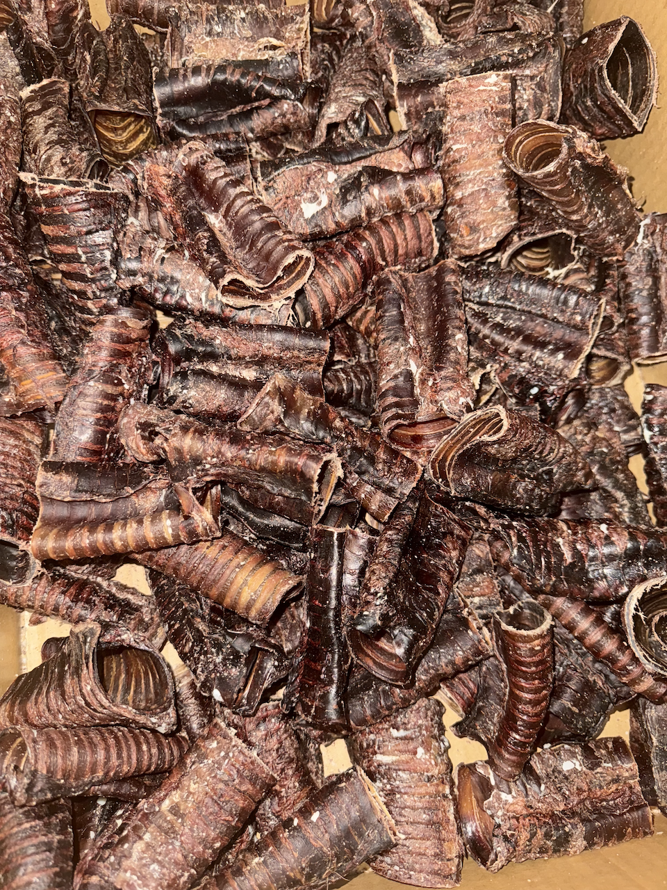 Air-Dried Venison Trachea