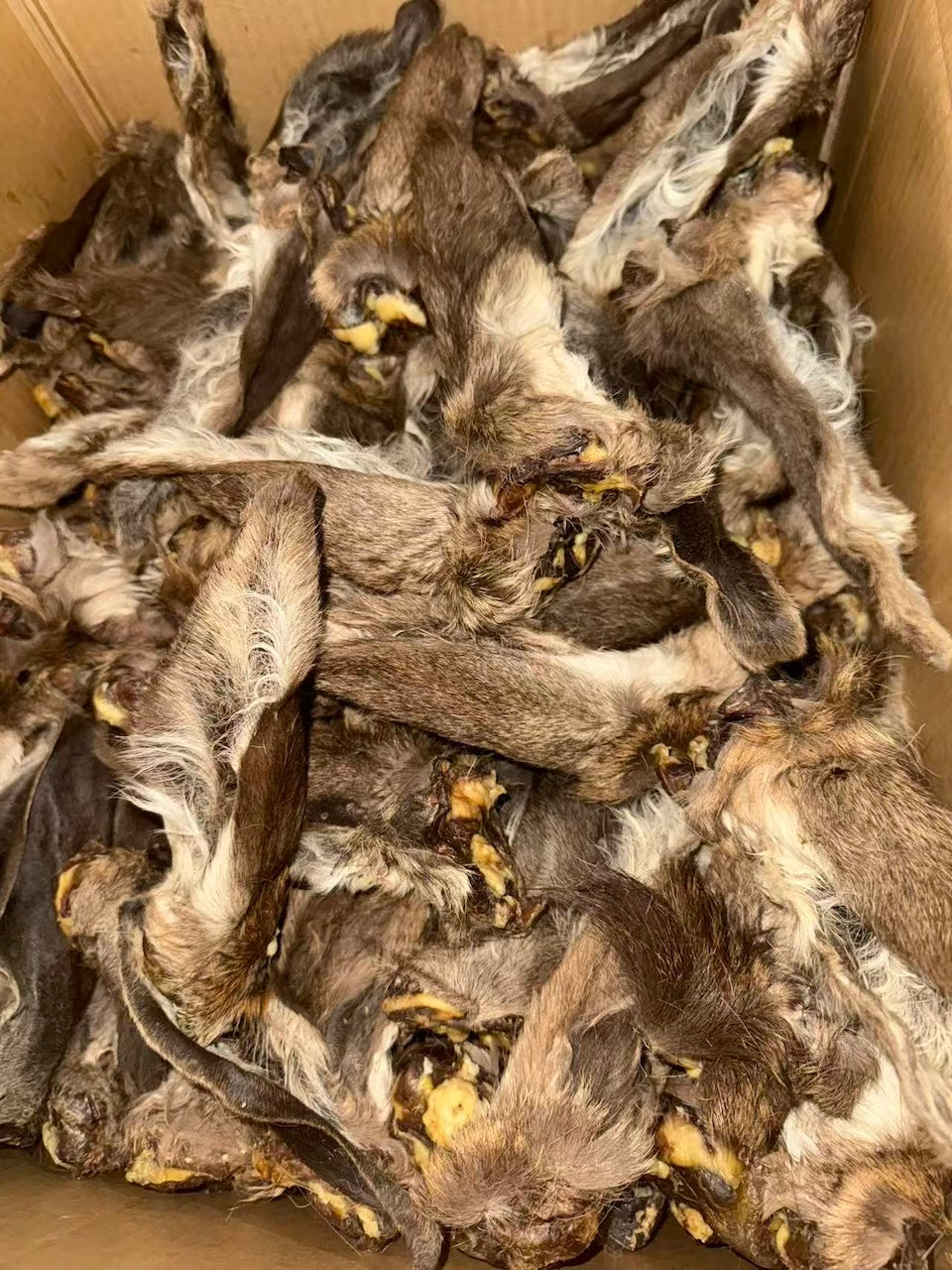 Air-Dried Venison Ears